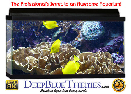 Buy Aquarium Background Reef Yellow Aquarium Background