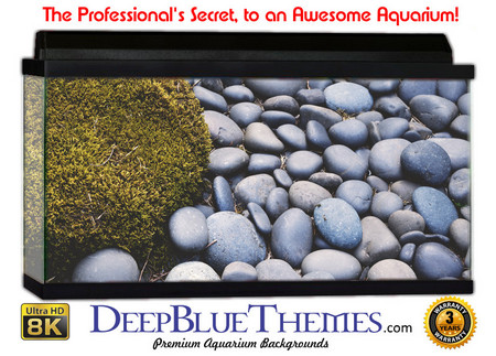 Buy Aquarium Background Rock Stones Aquarium Background