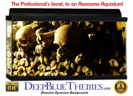 Buy Aquarium Background Ruins Skulls Aquarium Background