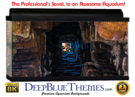 Buy Aquarium Background Ruins Tunnel Aquarium Background