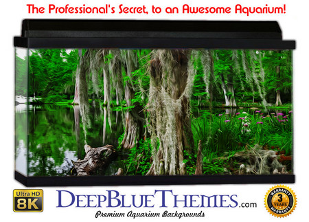 Buy Aquarium Background Swamp Deep Aquarium Background