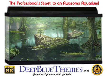 Buy Aquarium Background Swamp Drawn Aquarium Background