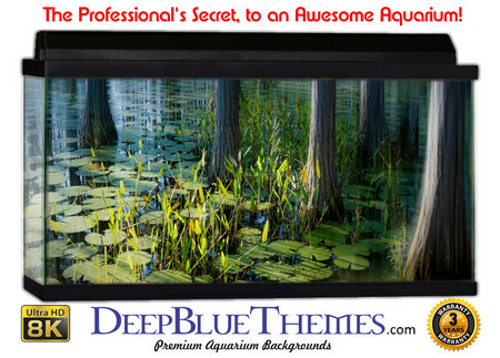 Buy Aquarium Background Swamp Reflect Aquarium Background