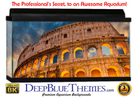 Buy Aquarium Background Travel Colosseum Aquarium Background