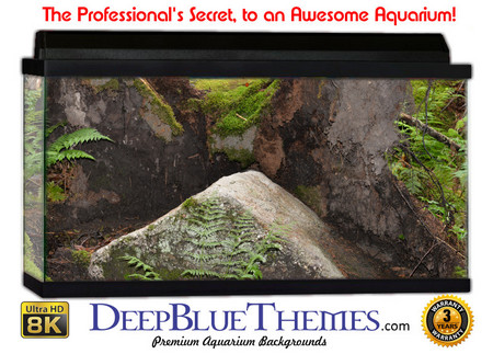 Buy Aquarium Background Trees Rock Aquarium Background