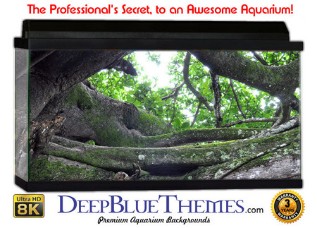 Buy Aquarium Background Trees Up Aquarium Background