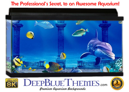 Buy Aquarium Background Unusual Arches Aquarium Background