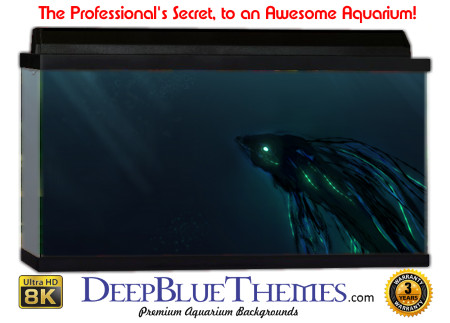Buy Aquarium Background Unusual Beta Aquarium Background