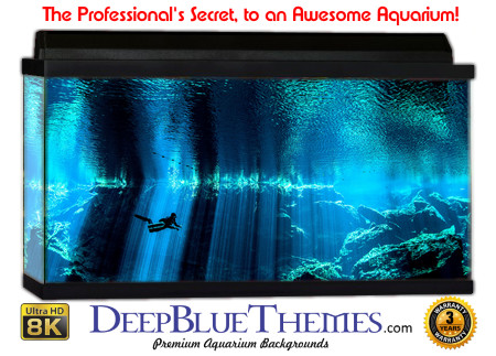 Buy Aquarium Background Unusual Frame Aquarium Background