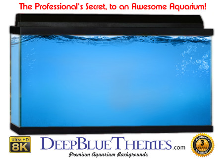 Buy Aquarium Background Water Deep Aquarium Background