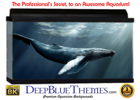 Buy Aquarium Background Whale Arch Aquarium Background