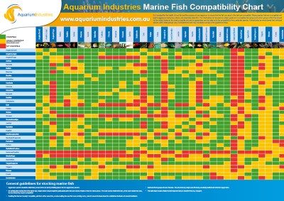 Saltwater Fish Compatibility Chart