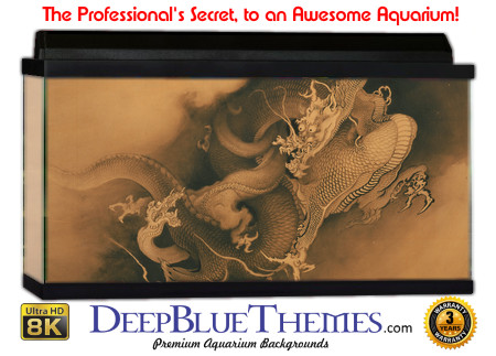 Buy Aquarium Background Asian Dragons Aquarium Background
