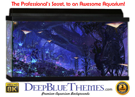 Buy Aquarium Background Awesome Avatar Aquarium Background