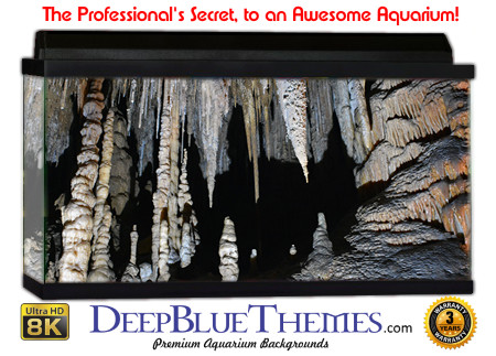 Buy Aquarium Background Awesome Caveroof Aquarium Background