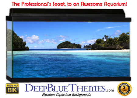Buy Aquarium Background Beach Blue Aquarium Background