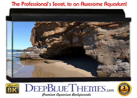 Buy Aquarium Background Beach Coast Aquarium Background