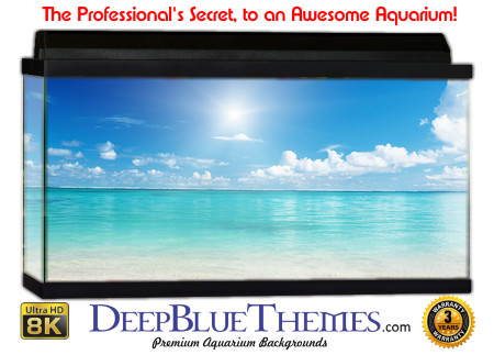 Buy Aquarium Background Beach Empty Aquarium Background