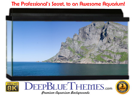 Buy Aquarium Background Beach Mountain Aquarium Background