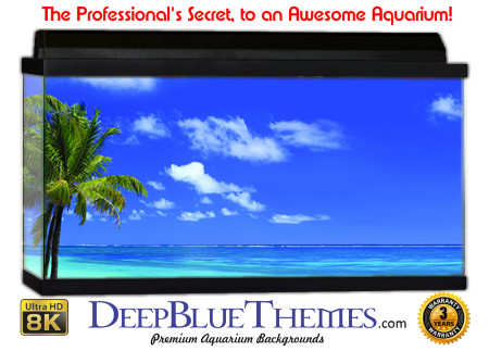 Buy Aquarium Background Beach Palm Aquarium Background