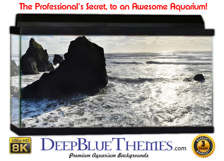 Buy Aquarium Background Beach Park Aquarium Background