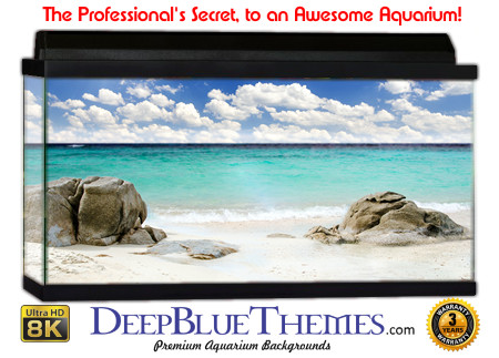 Buy Aquarium Background Beach Rock Aquarium Background