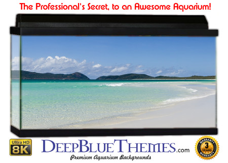 Buy Aquarium Background Beach Run Aquarium Background