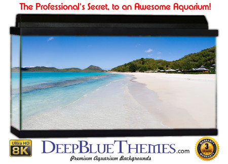 Buy Aquarium Background Beach Sand Aquarium Background