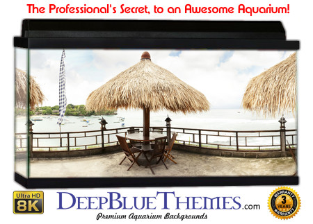 Buy Aquarium Background Beach Seating Aquarium Background