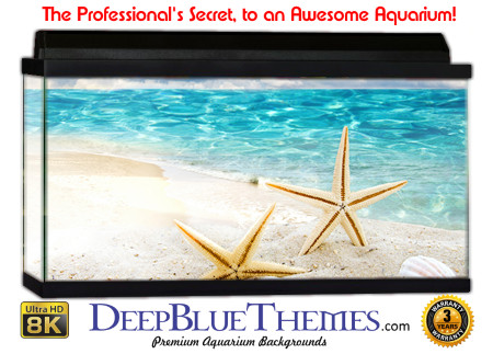 Buy Aquarium Background Beach Star Aquarium Background