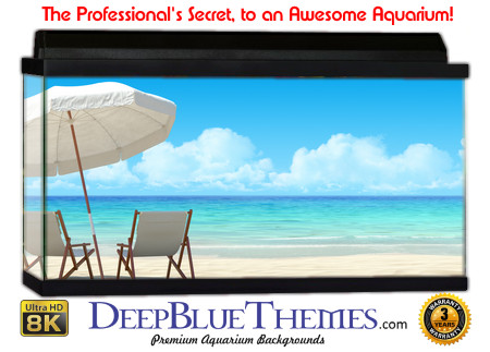 Buy Aquarium Background Beach Two Aquarium Background