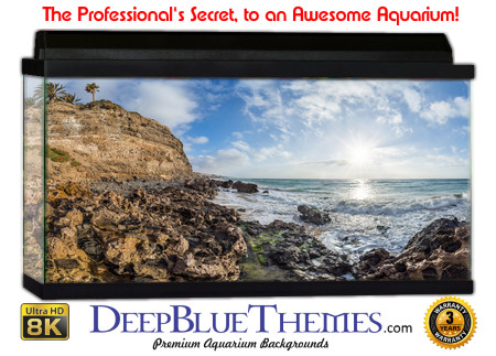 Buy Aquarium Background Beach Volcanic Aquarium Background