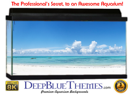 Buy Aquarium Background Beach White Aquarium Background