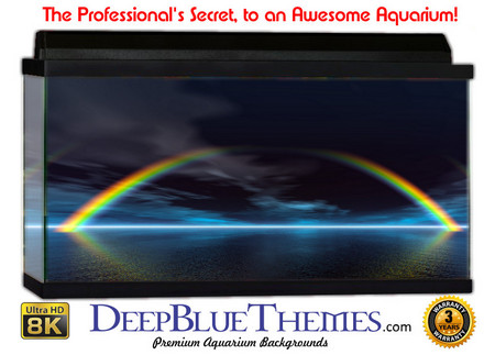 Buy Aquarium Background Black Rainbow Aquarium Background