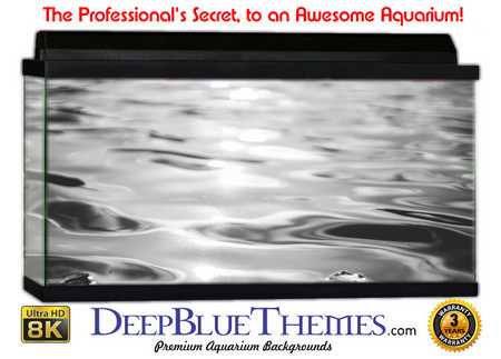Buy Aquarium Background Black Surface Aquarium Background