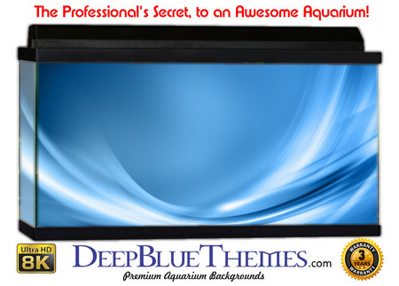 Buy Aquarium Background Blue Arch Aquarium Background