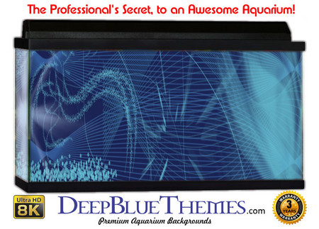 Buy Aquarium Background Blue Chaos Aquarium Background
