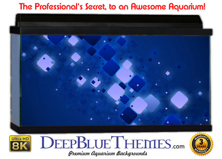 Buy Aquarium Background Blue Charms Aquarium Background