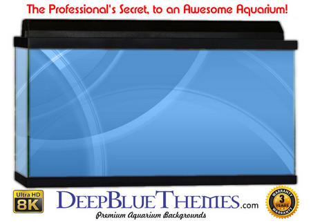 Buy Aquarium Background Blue Circles Aquarium Background