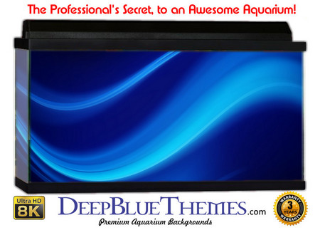 Buy Aquarium Background Blue Flow Aquarium Background