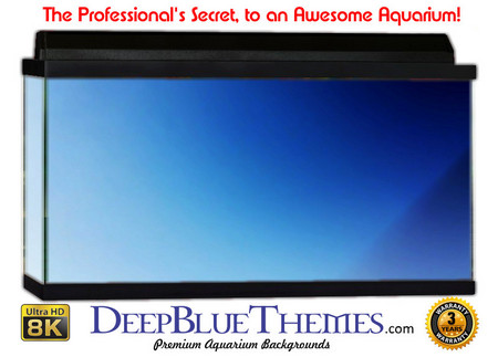 Buy Aquarium Background Blue Gradient Aquarium Background