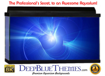 Buy Aquarium Background Blue Heart Aquarium Background
