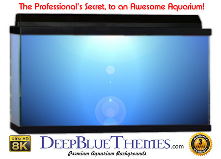Buy Aquarium Background Blue Rise Aquarium Background