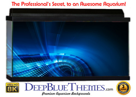 Buy Aquarium Background Blue Road Aquarium Background