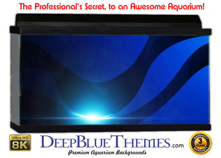 Buy Aquarium Background Blue Shine Aquarium Background
