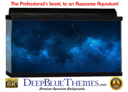 Buy Aquarium Background Blue Space Aquarium Background