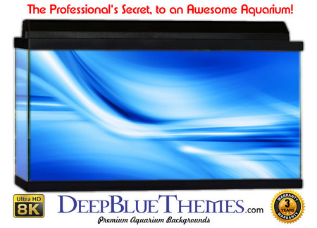Buy Aquarium Background Blue Swirl Aquarium Background