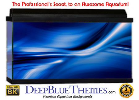 Buy Aquarium Background Blue Tunnel Aquarium Background