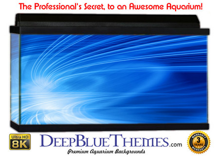 Buy Aquarium Background Blue Void Aquarium Background