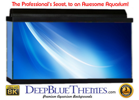 Buy Aquarium Background Blue Whisp Aquarium Background